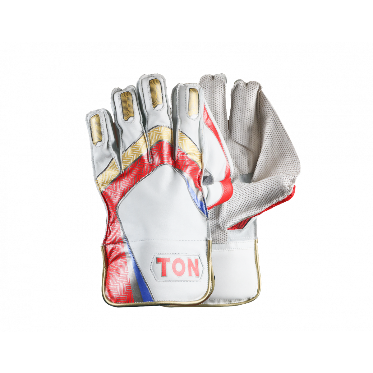 SS TON PRO 1.0 Wicket Keeping Gloves