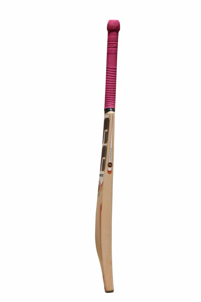 SS Gladiator Kashmir Willow Cricket Bat  -SH Grade +1