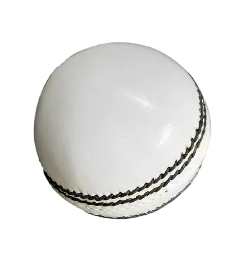 DSC Match grade Leather Ball white