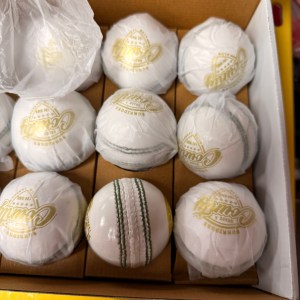 SS County White Cricket leather Ball