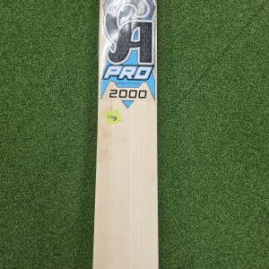 CA Pro 2000 English Willow cricket bat on a green field background.