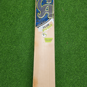 CA Plus 3000 Grade 3 English Willow cricket bat on a green field background.